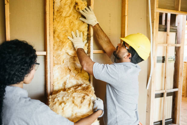 Best Attic Insulation Installation  in Upper Lake, CA